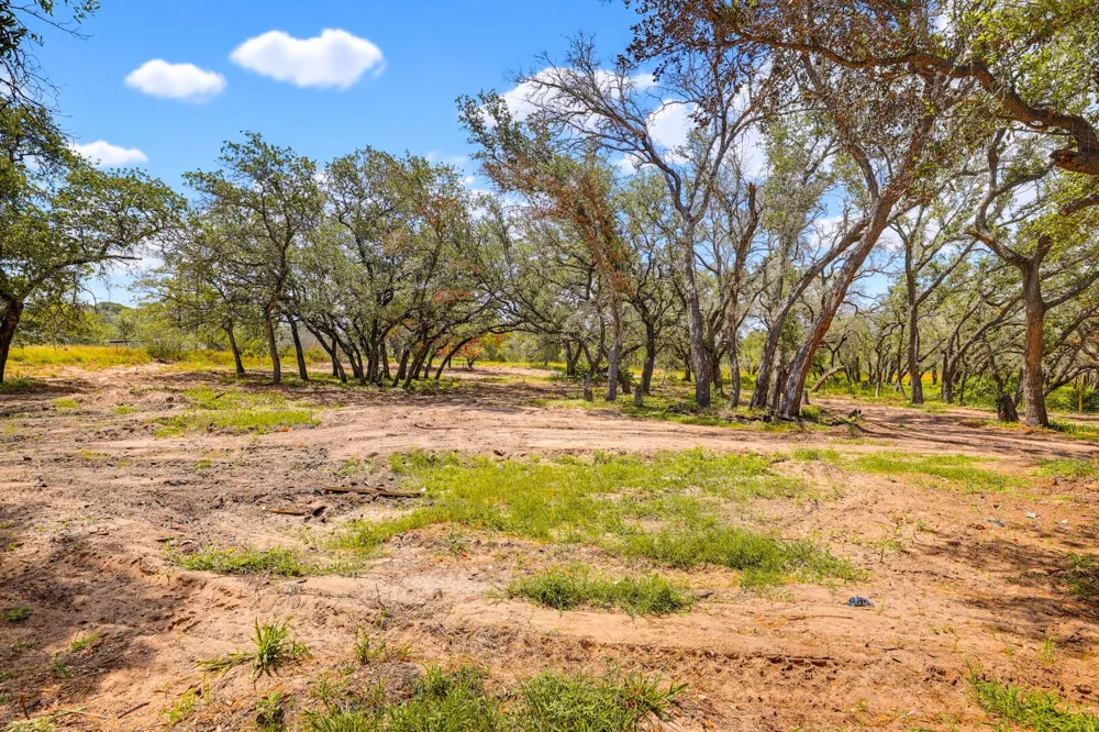 339 Shady Oaks Drive Floresville, TX 78114
