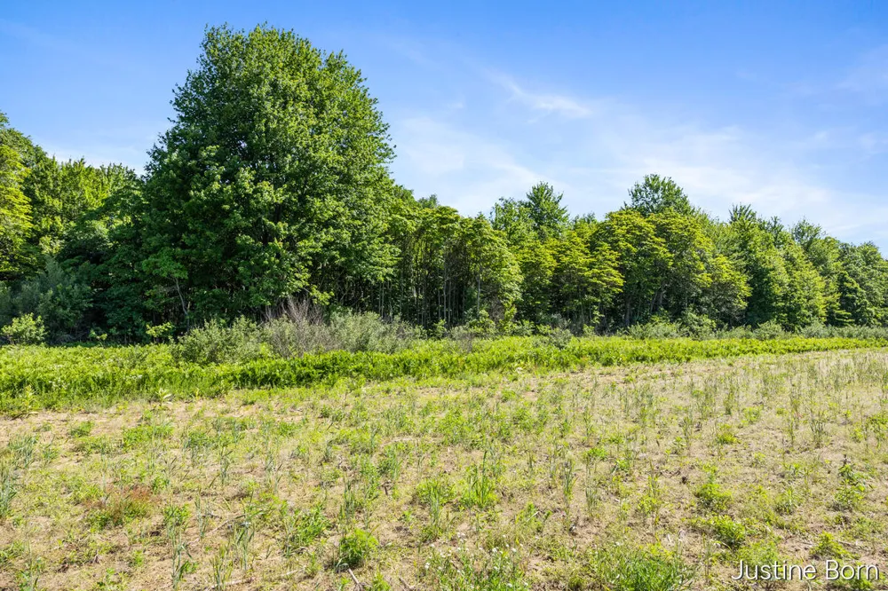 S Warner Avenue Fremont, MI 49412