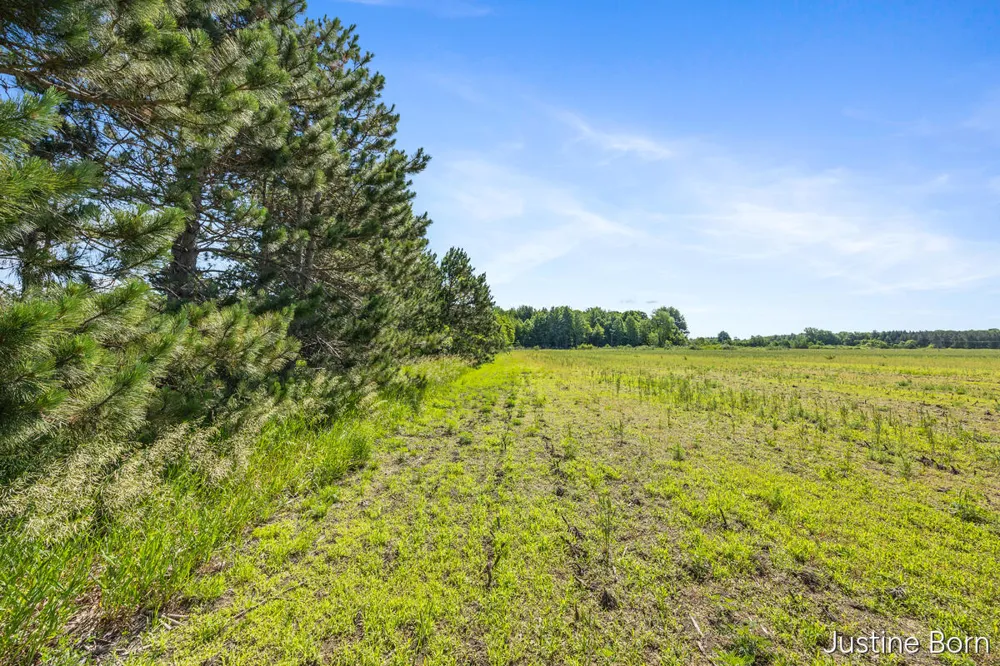 S Warner Avenue Fremont, MI 49412