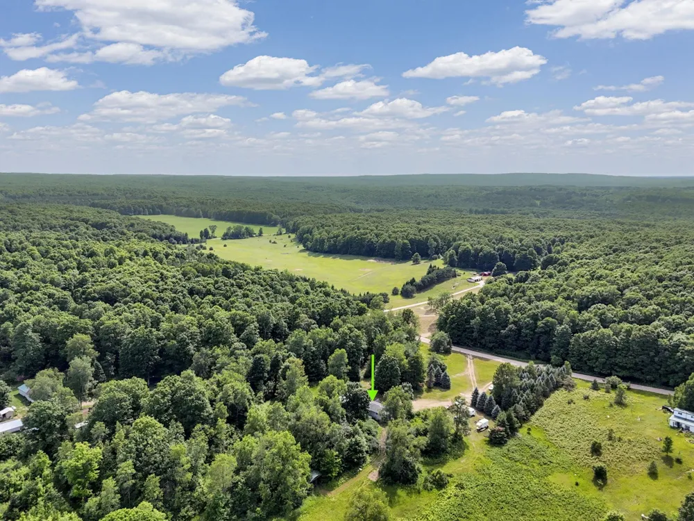 3850 25 ROAD Colfax Township, MI 49668