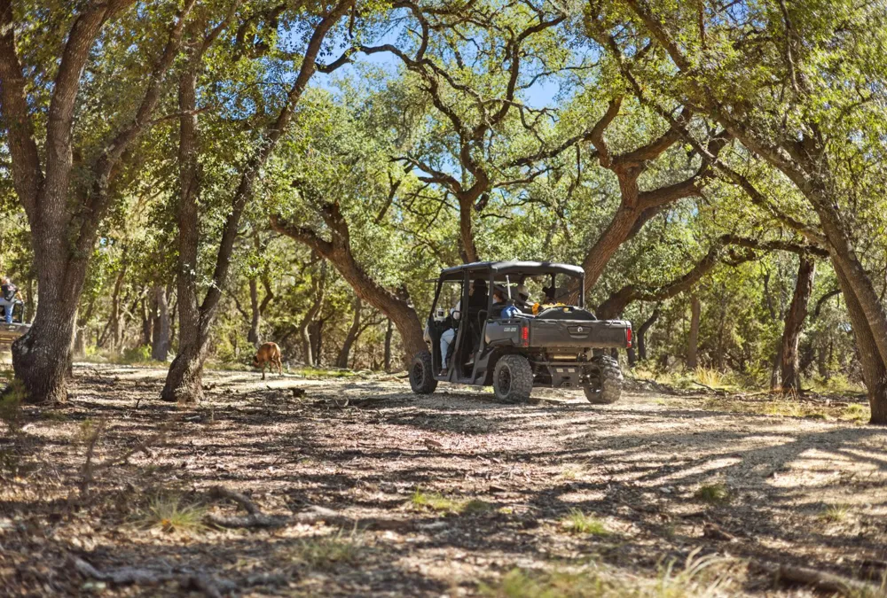 Address Not Shown Dripping Springs, TX 78620