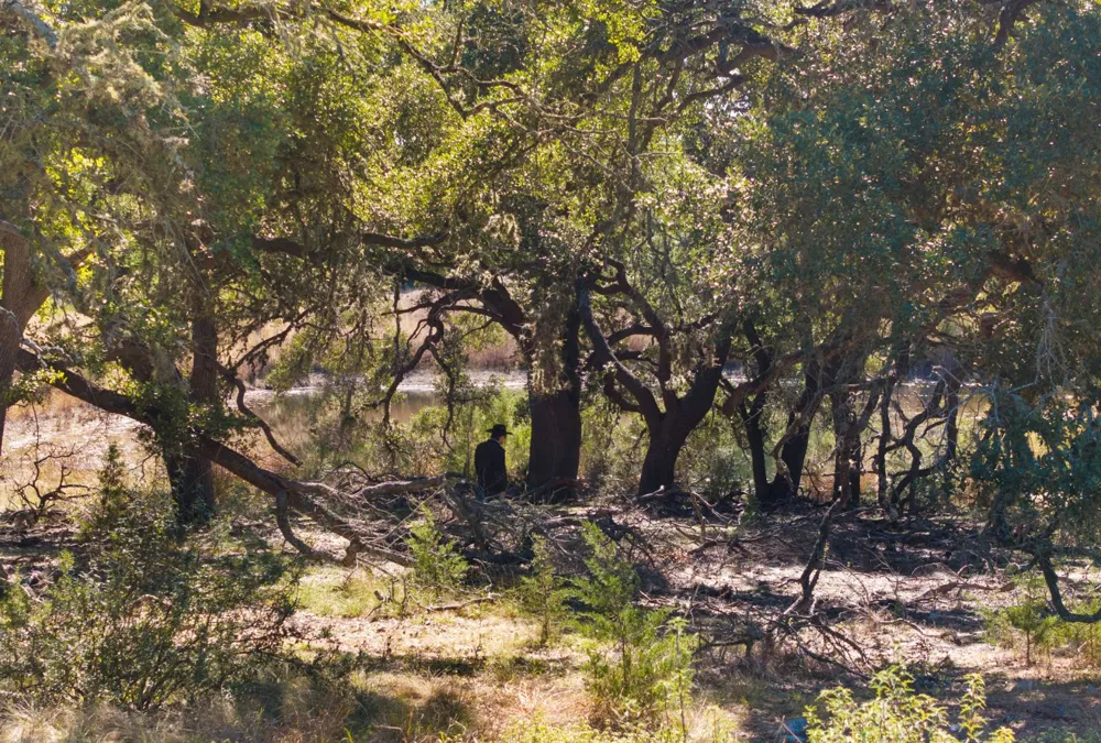 Address Not Shown Dripping Springs, TX 78620