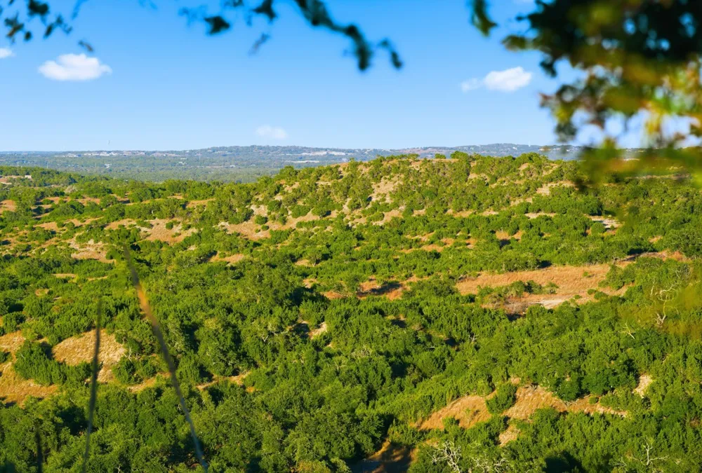 Address Not Shown Dripping Springs, TX 78620