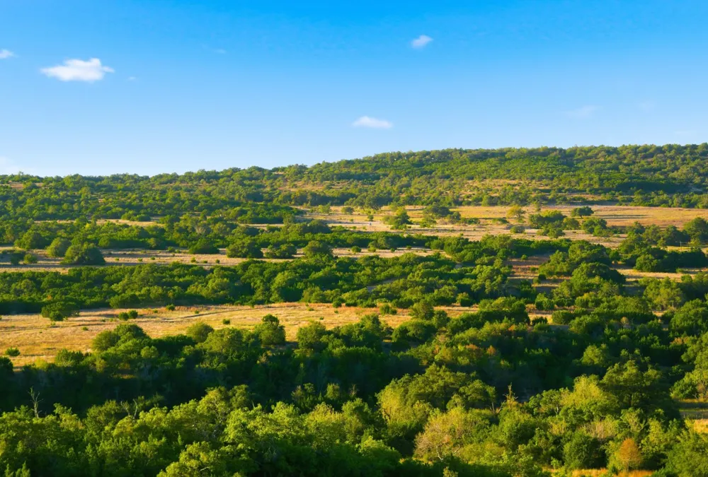 Address Not Shown Dripping Springs, TX 78620