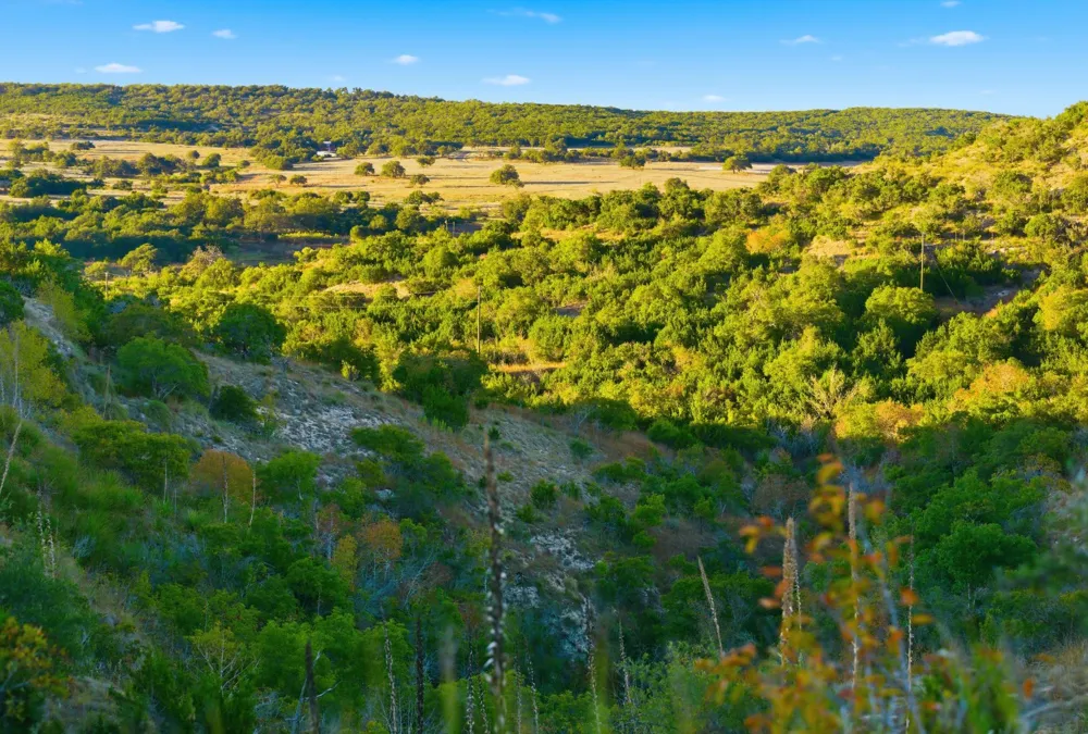 Address Not Shown Dripping Springs, TX 78620