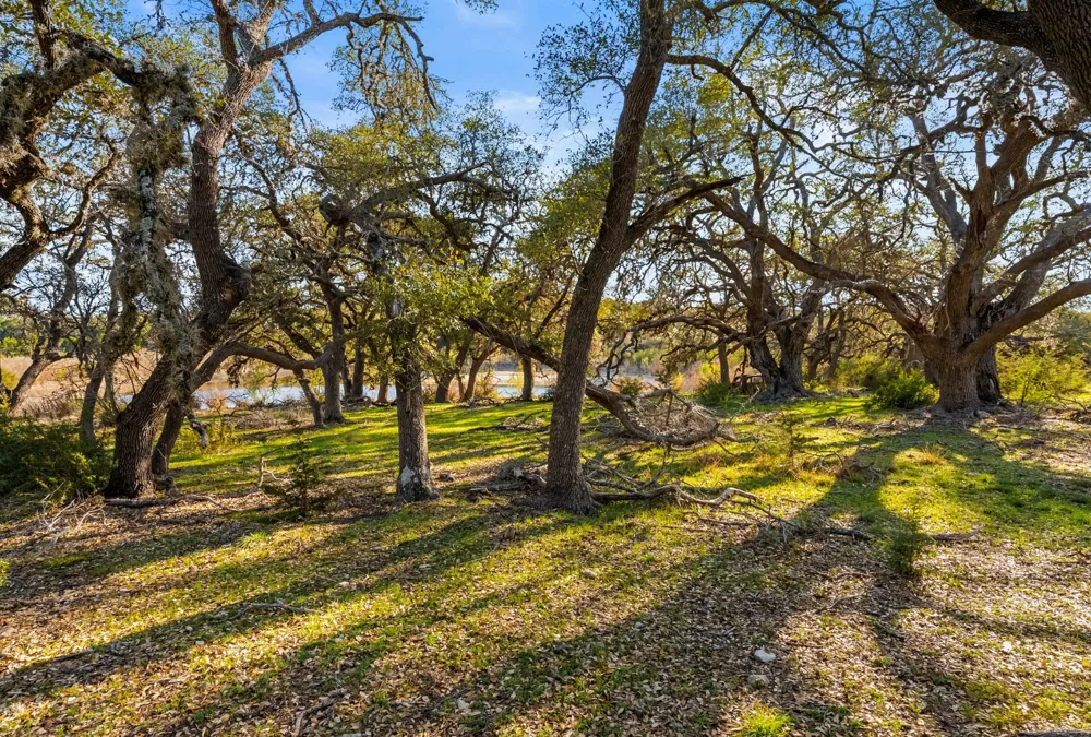 Address Not Shown Dripping Springs, TX 78620