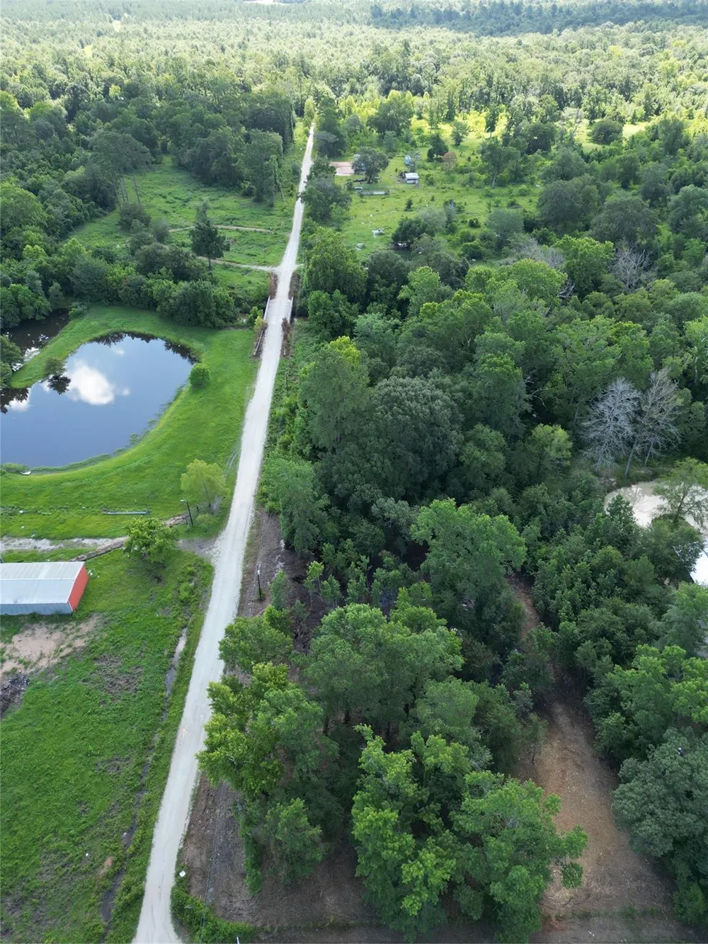 Red Oak Drive Plantersville, TX 77363