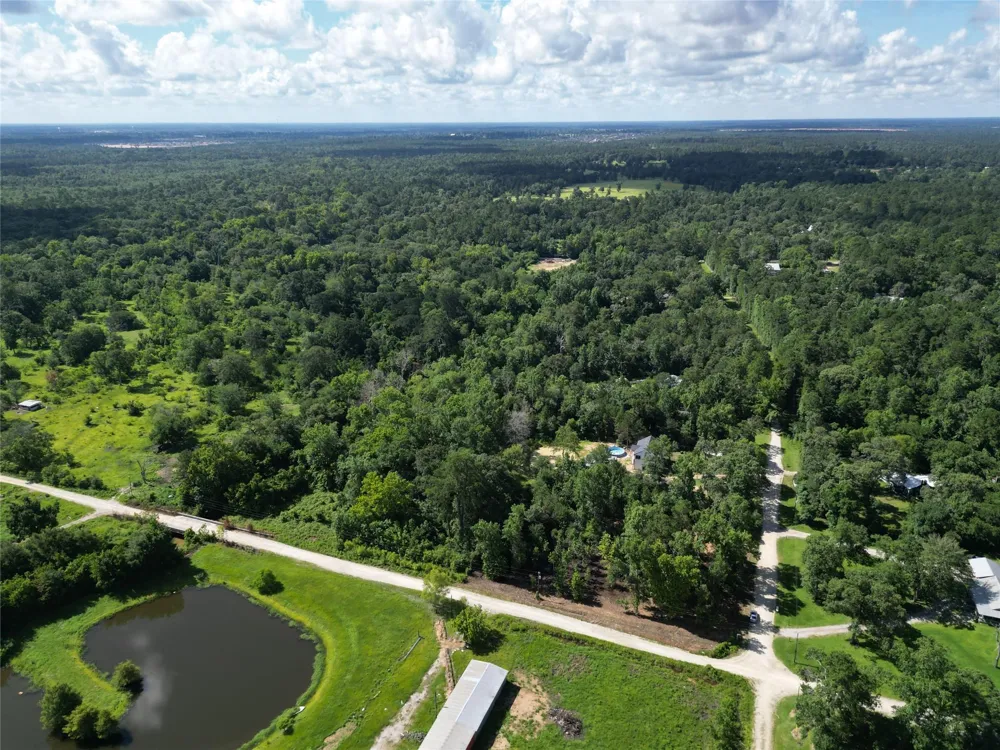 Red Oak Drive Plantersville, TX 77363