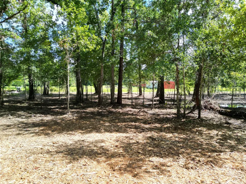 Red Oak Drive Plantersville, TX 77363