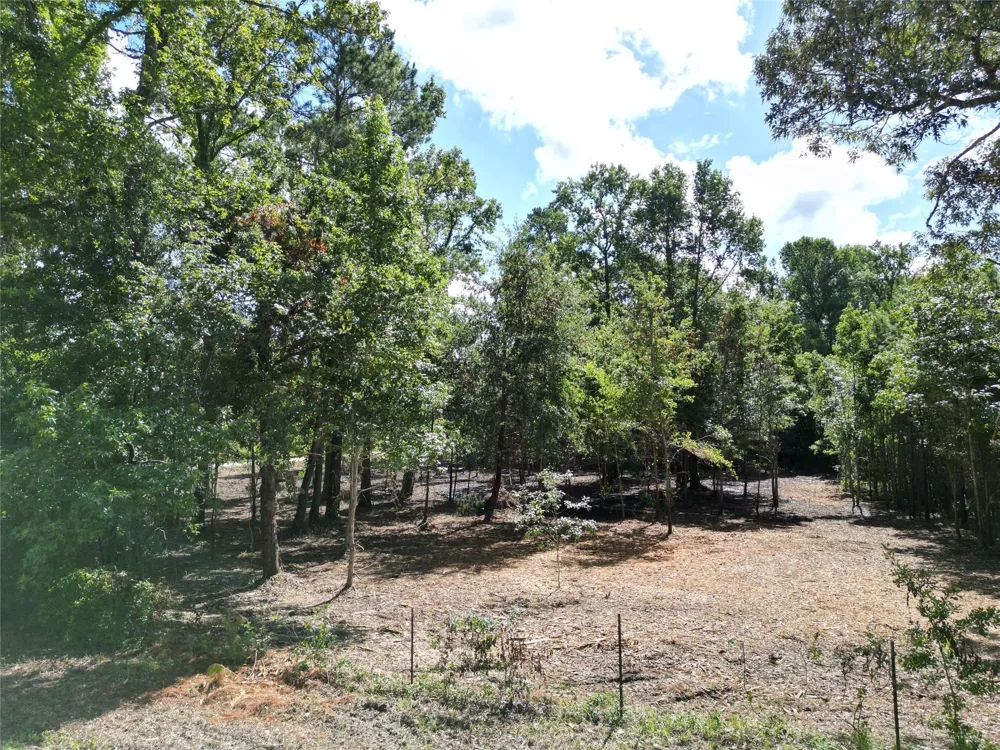 Red Oak Drive Plantersville, TX 77363