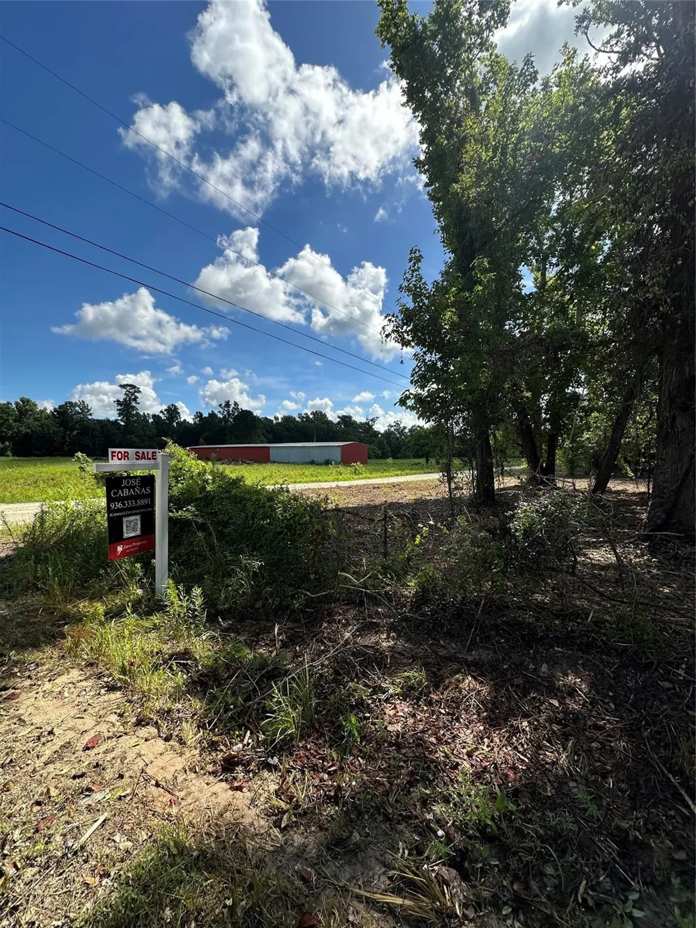 Red Oak Drive Plantersville, TX 77363