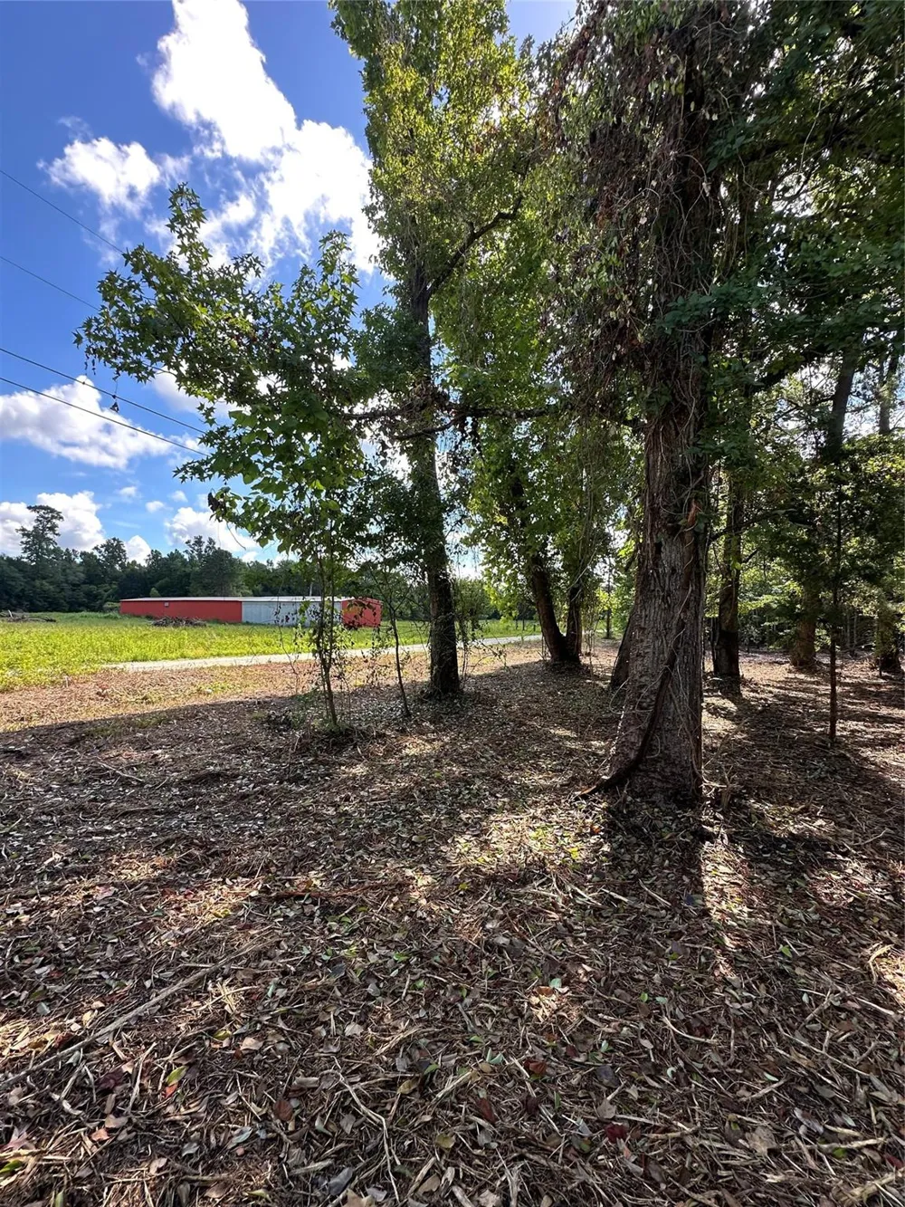 Red Oak Drive Plantersville, TX 77363
