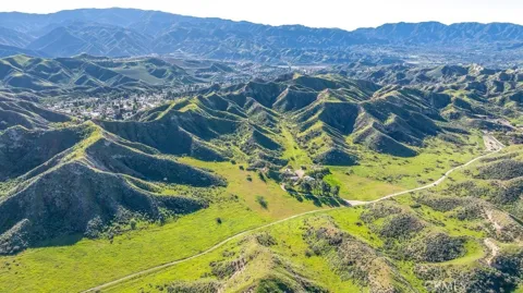 jasmine Valley