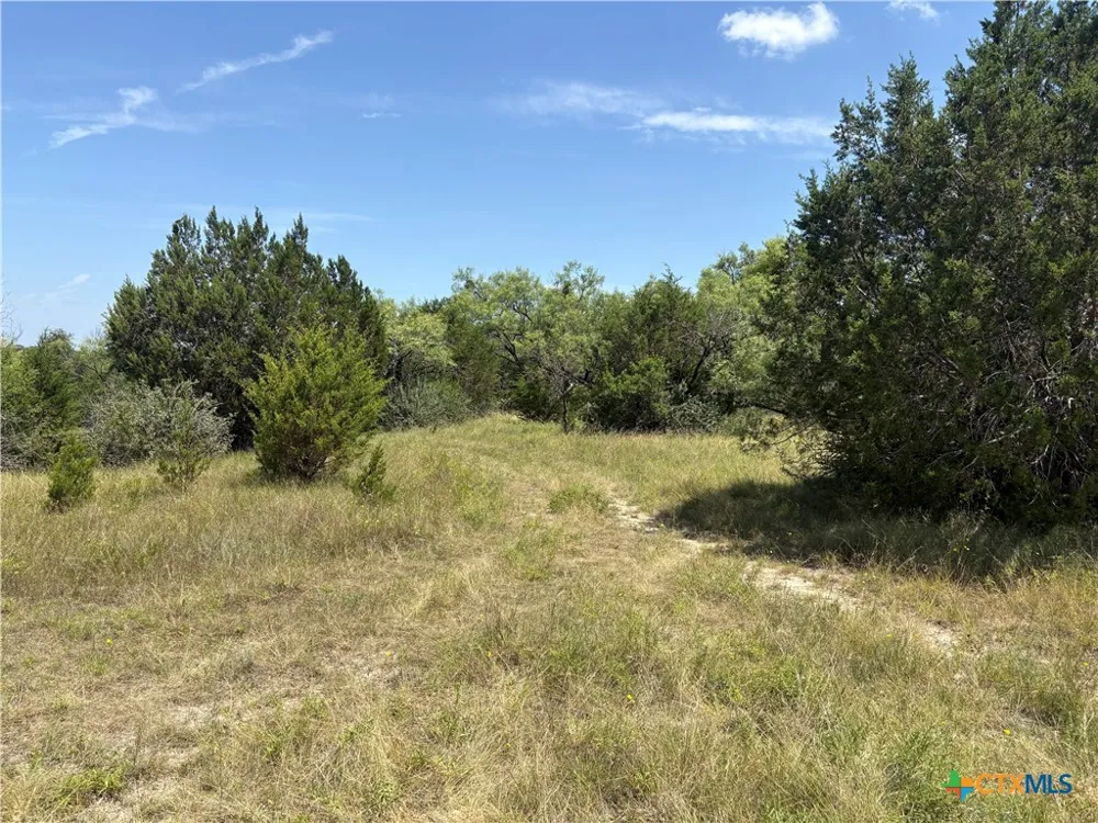 1 County Road 3421 Road #3423 Lampasas, TX 76550