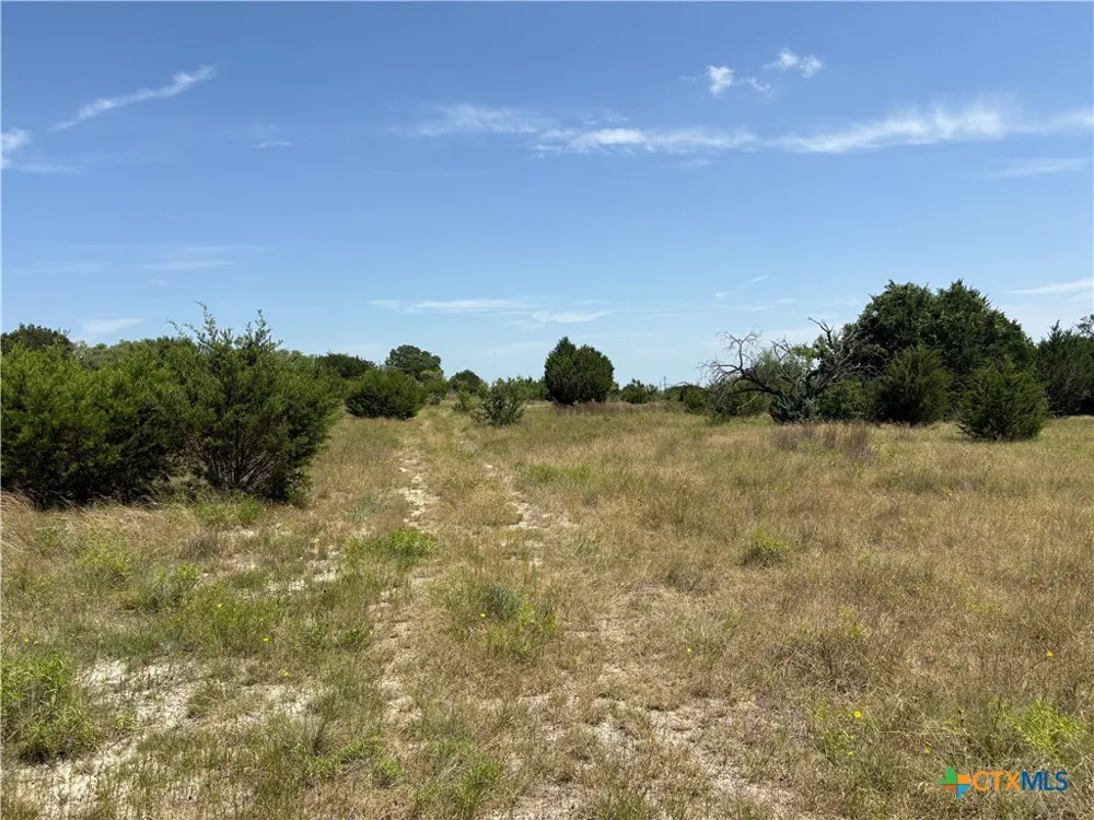 1 County Road 3421 Road #3423 Lampasas, TX 76550