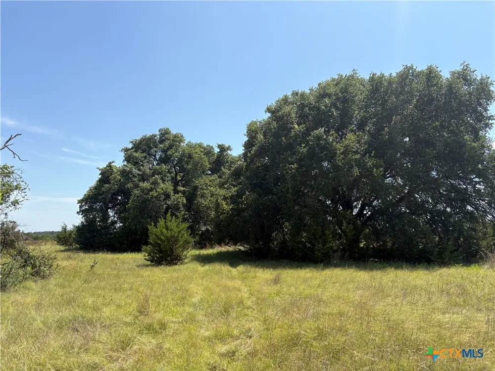 1 County Road 3421 Road #3423 Lampasas, TX 76550