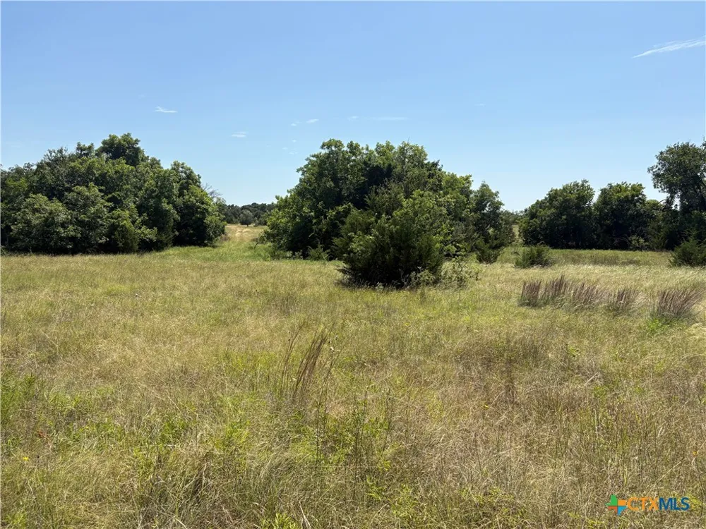 1 County Road 3421 Road #3423 Lampasas, TX 76550