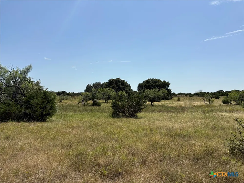 1 County Road 3421 Road #3423 Lampasas, TX 76550