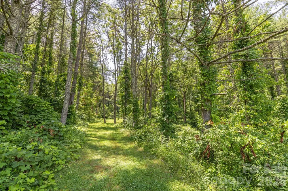 160 Mclean Road Weaverville, NC 28787