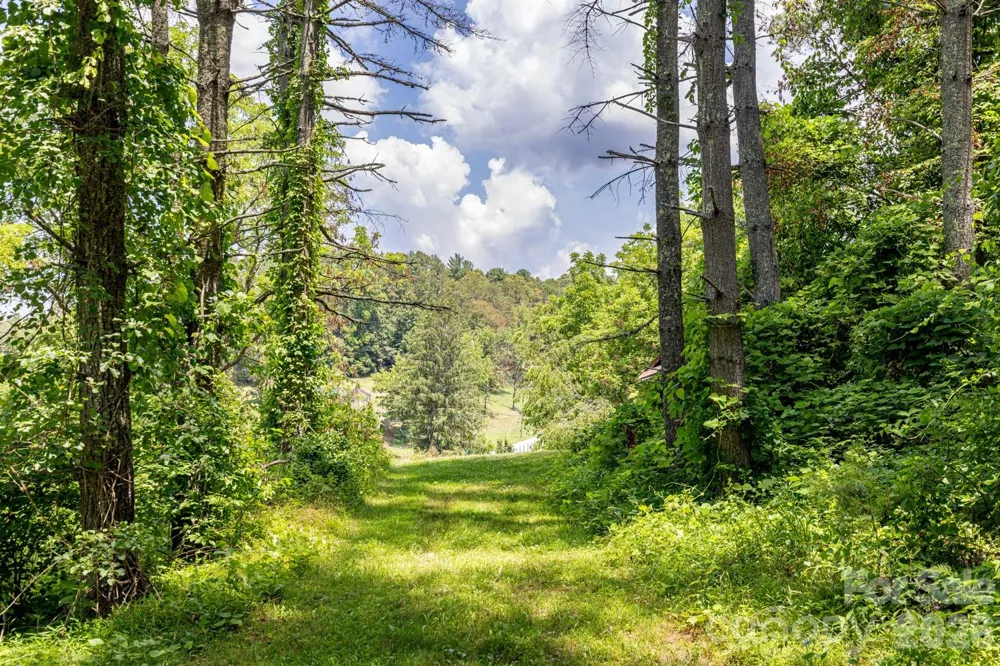 160 Mclean Road Weaverville, NC 28787