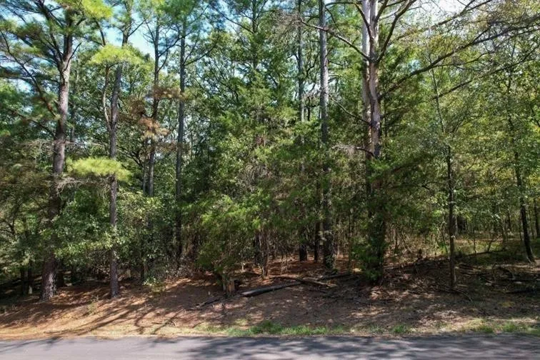 Angelina Dr Mount Vernon, TX 75457