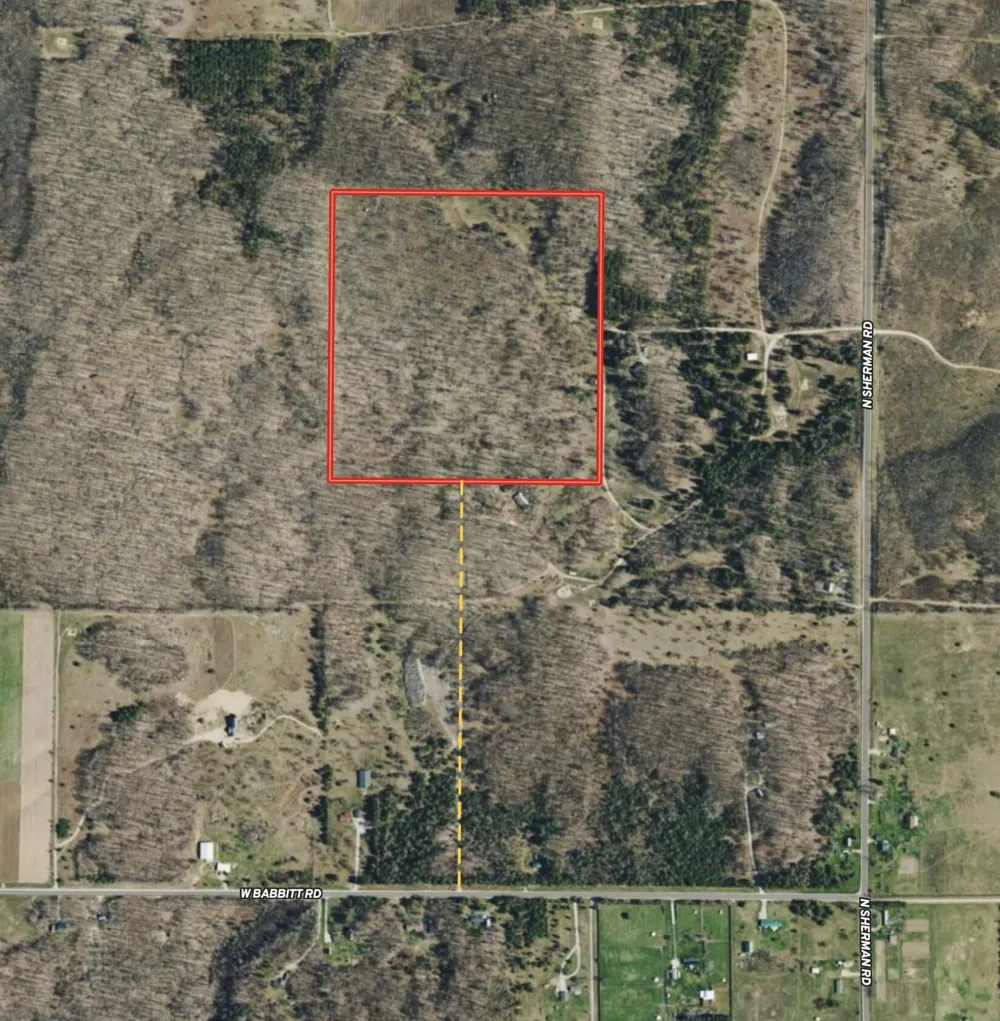 Babbit Rd Frederic, MI 49733