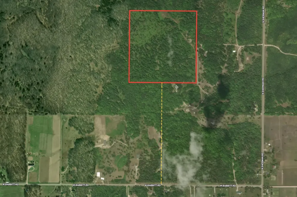Babbit Rd Frederic, MI 49733