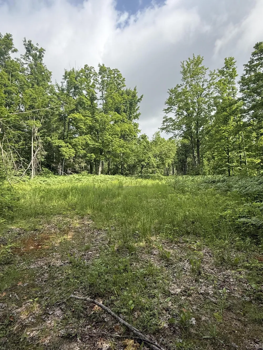 Babbit Rd Frederic, MI 49733
