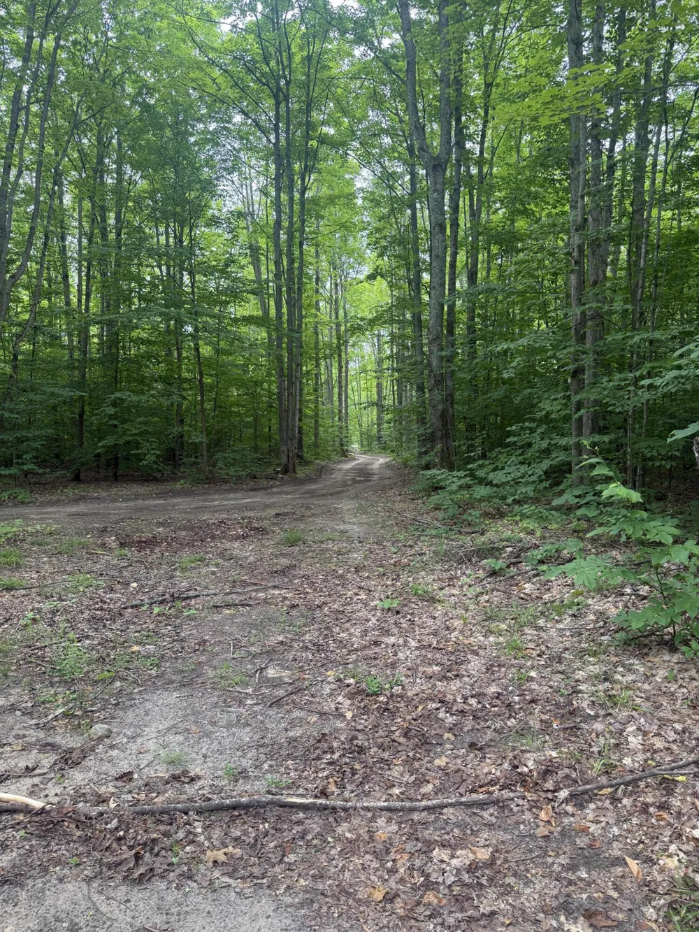 Babbit Rd Frederic, MI 49733