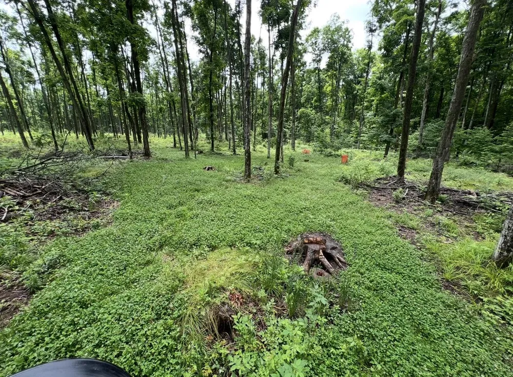 Babbit Rd Frederic, MI 49733
