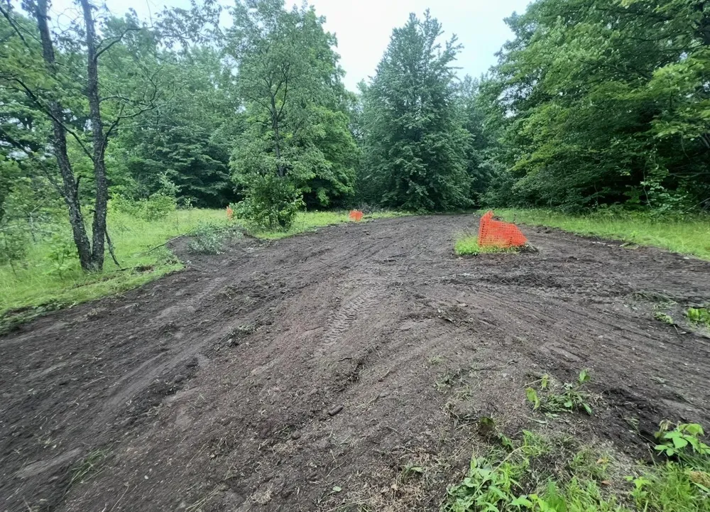 Babbit Rd Frederic, MI 49733