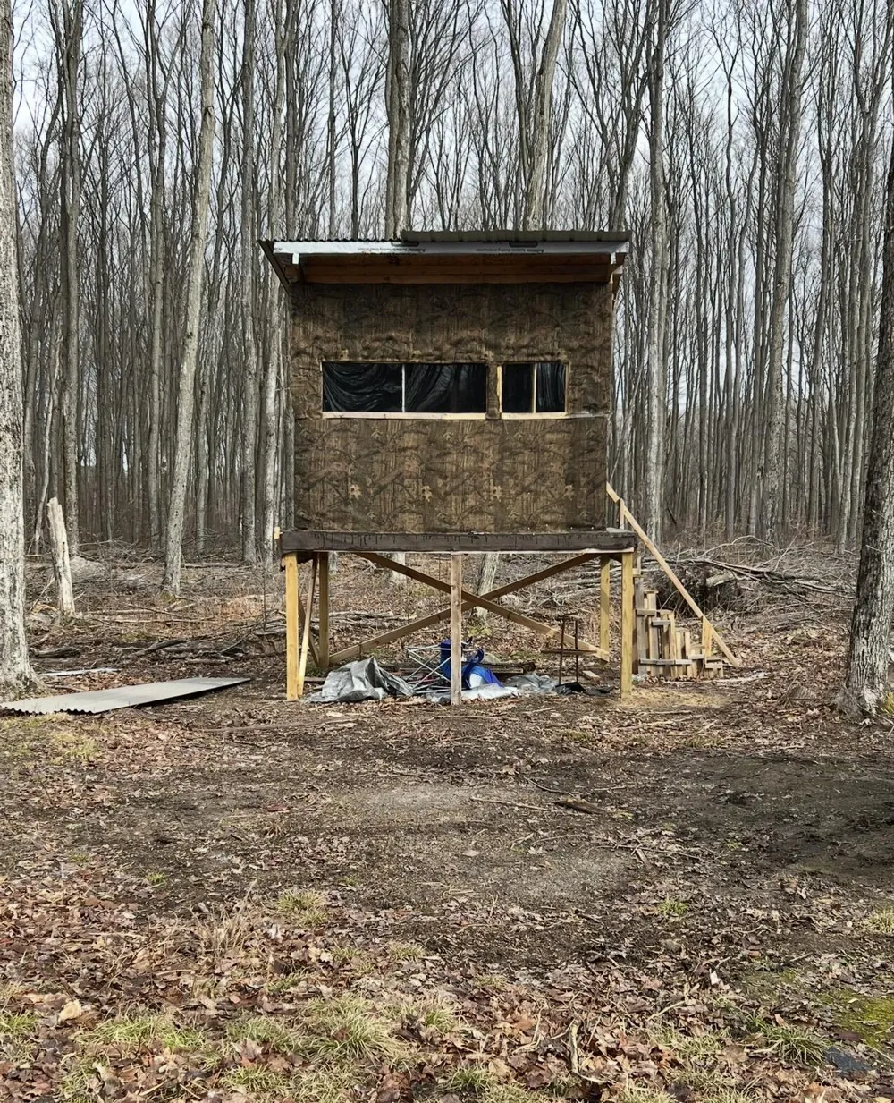 Babbit Rd Frederic, MI 49733