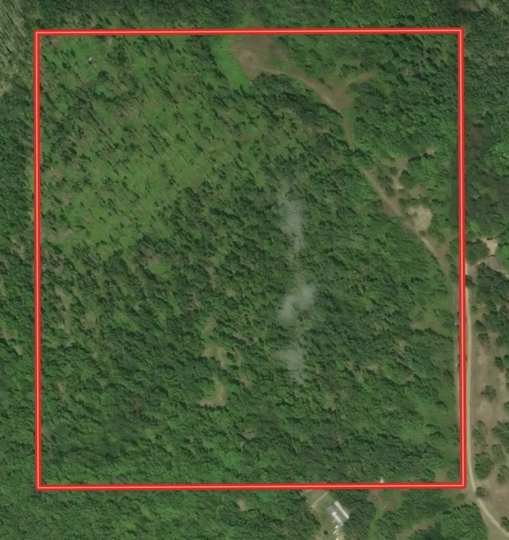 Babbit Rd Frederic, MI 49733