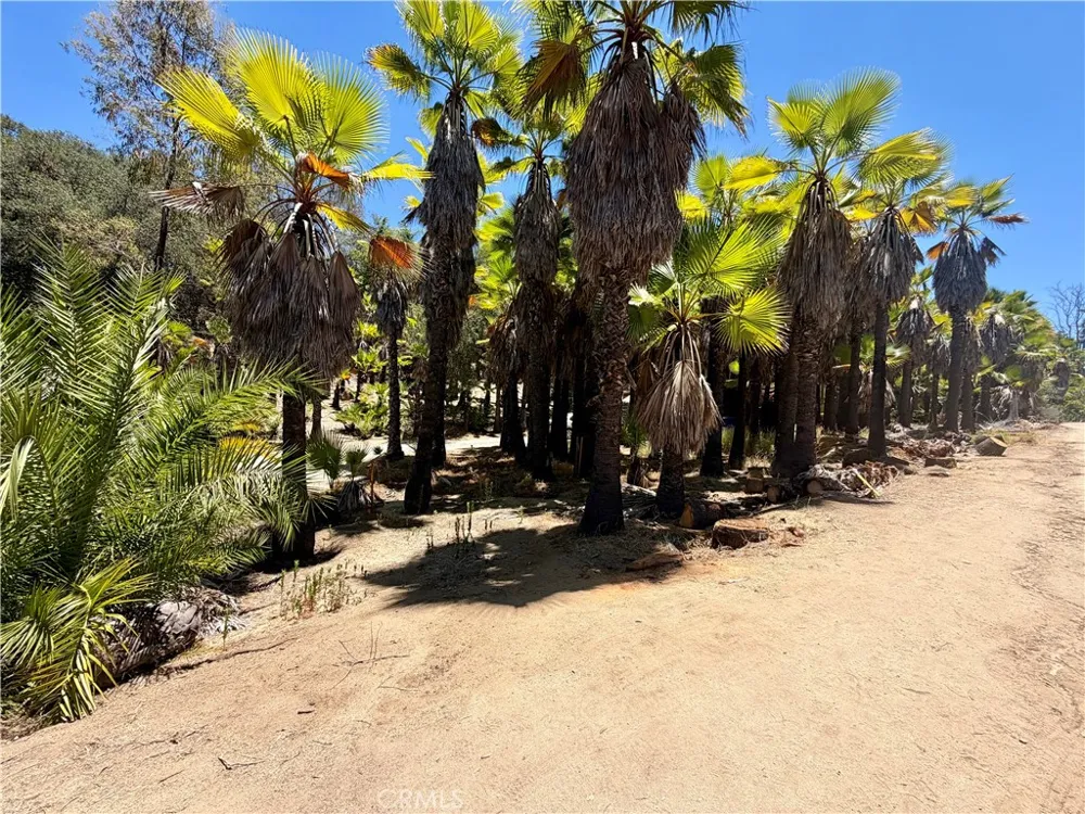 Ranger Fallbrook, CA 92028