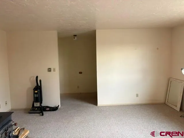 1042 Indian Camp Avenue Cedaredge, CO 81413