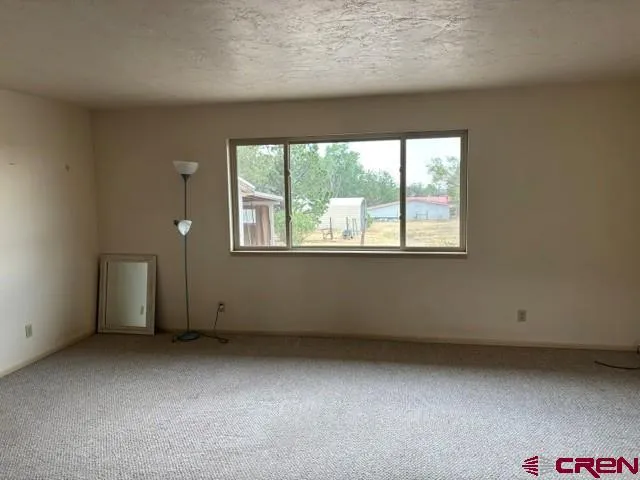 1042 Indian Camp Avenue Cedaredge, CO 81413