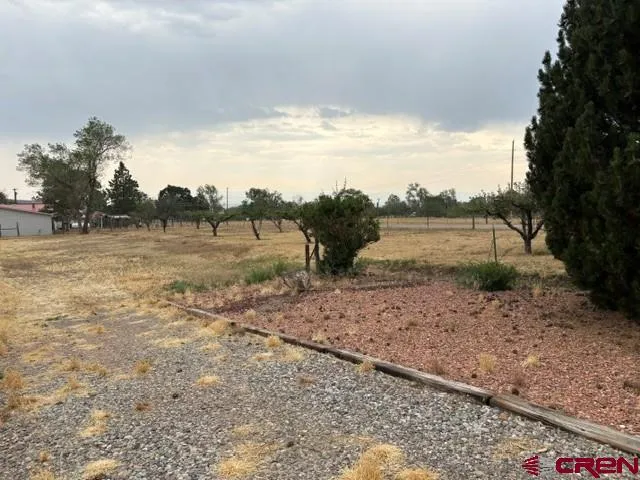 1042 Indian Camp Avenue Cedaredge, CO 81413