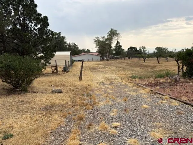 1042 Indian Camp Avenue Cedaredge, CO 81413