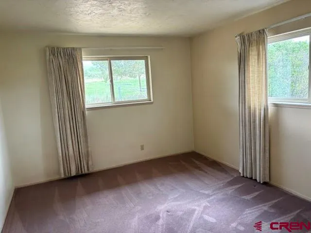 1042 Indian Camp Avenue Cedaredge, CO 81413