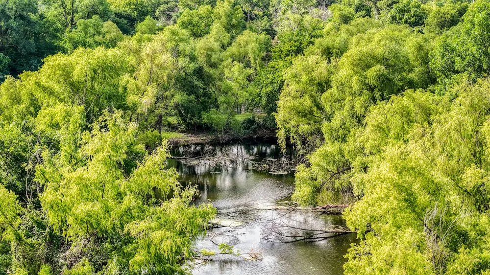 186 County Rd 3650 Clifton, TX 76634