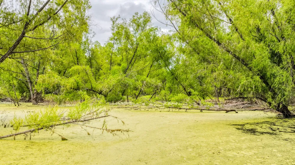 186 County Rd 3650 Clifton, TX 76634