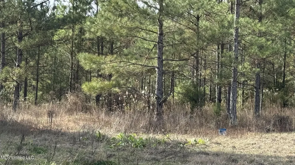 01 Norris-Homewood Road Forest, MS 39074