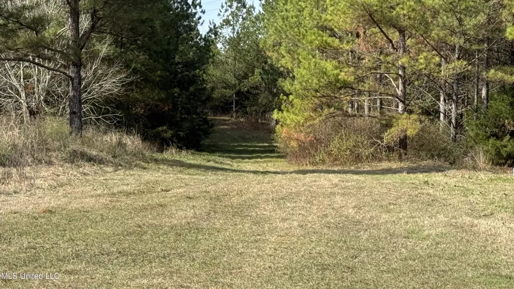 01 Norris-Homewood Road Forest, MS 39074