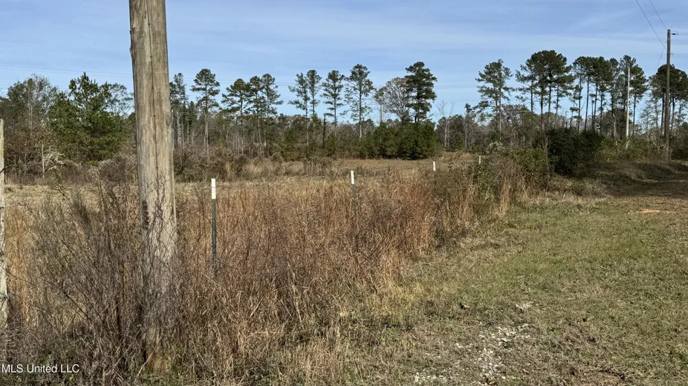 01 Norris-Homewood Road Forest, MS 39074