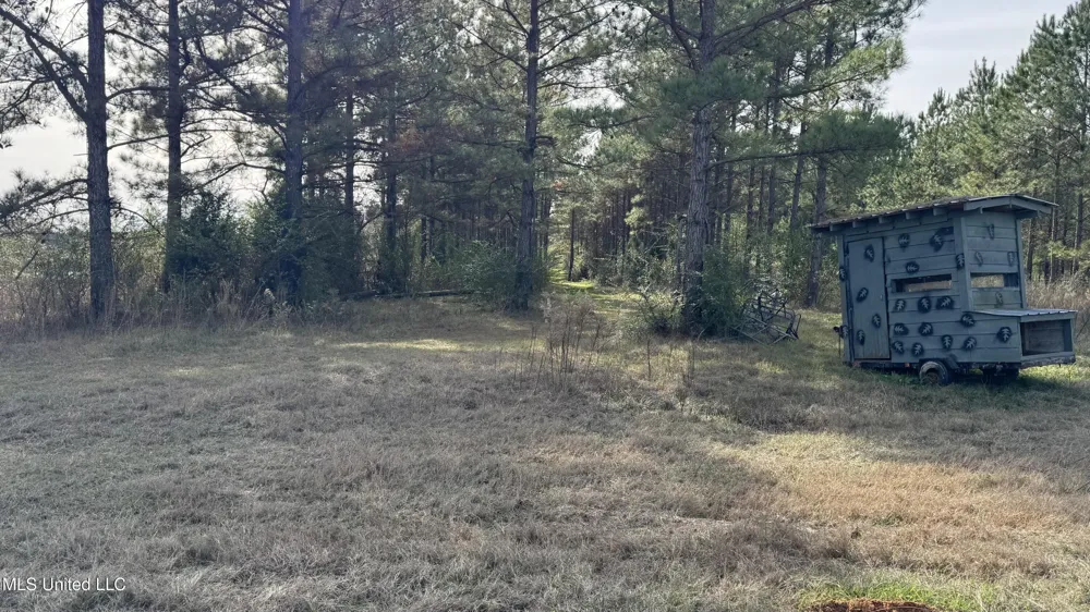 01 Norris-Homewood Road Forest, MS 39074