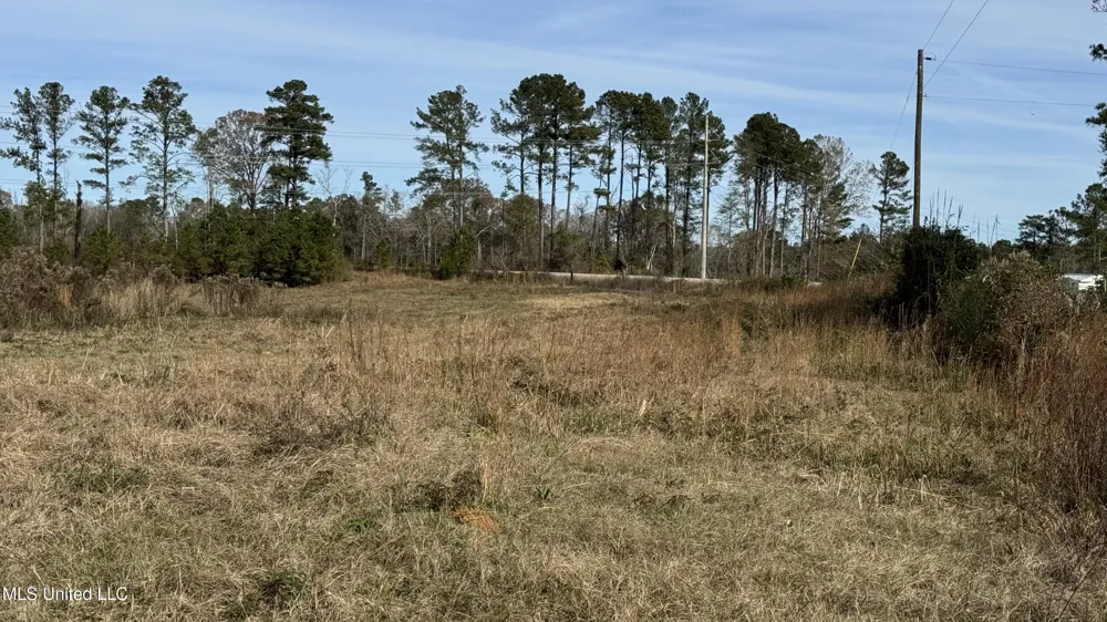 01 Norris-Homewood Road Forest, MS 39074