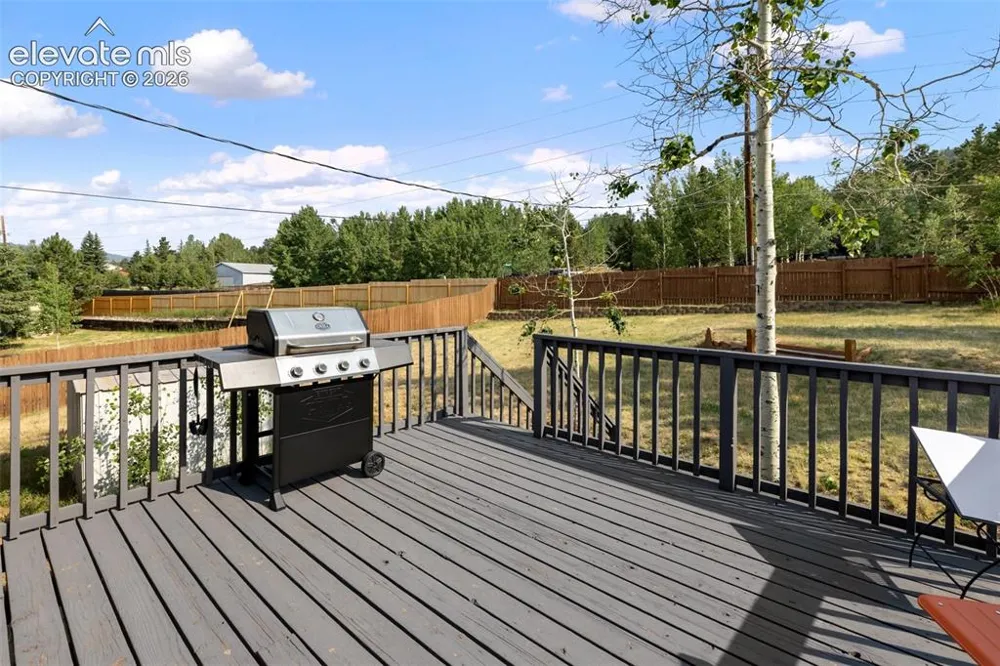 720 W Northwoods Drive Woodland Park, CO 80863