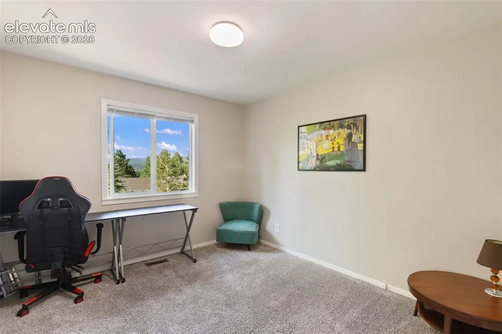 720 W Northwoods Drive Woodland Park, CO 80863