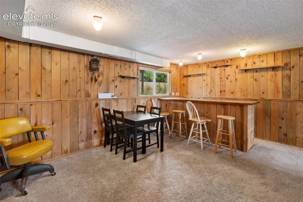 720 W Northwoods Drive Woodland Park, CO 80863