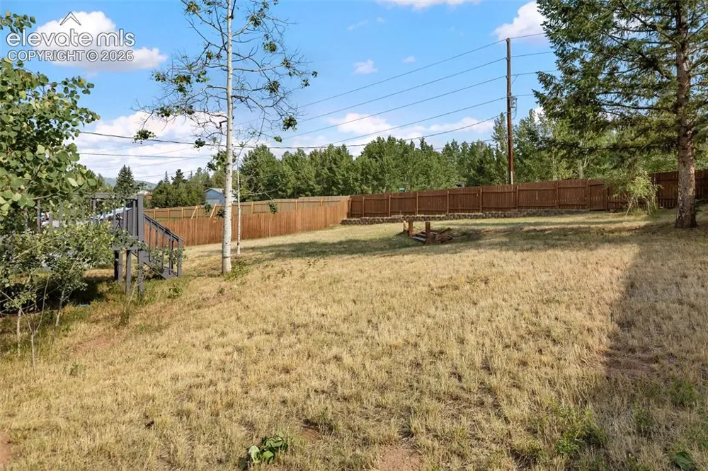 720 W Northwoods Drive Woodland Park, CO 80863
